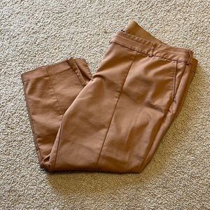 22P Lane Bryant Tan Slacks